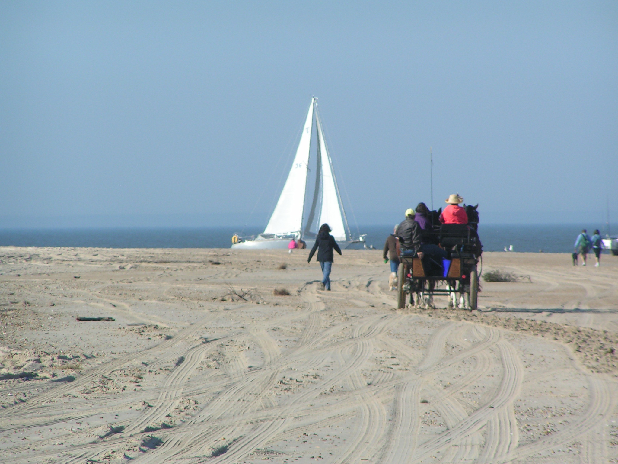 sail boats, horse and carriage, delaware surf fishing, cape henlopen state park, the point beach