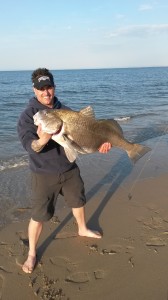 black drum, beach plum island state park, bills sport shop, ricks bait andtackle, old inlet bait and tackle, bretheren of the coast, delaware fisherwoman,