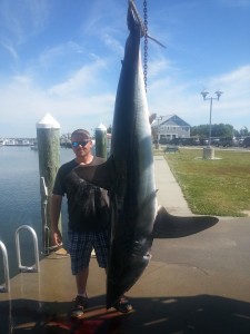 largest mako shark in Delaware, shark fishing from boats,