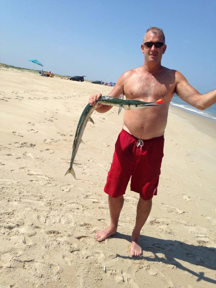 Houndfish (Tylosurus crocodilus)