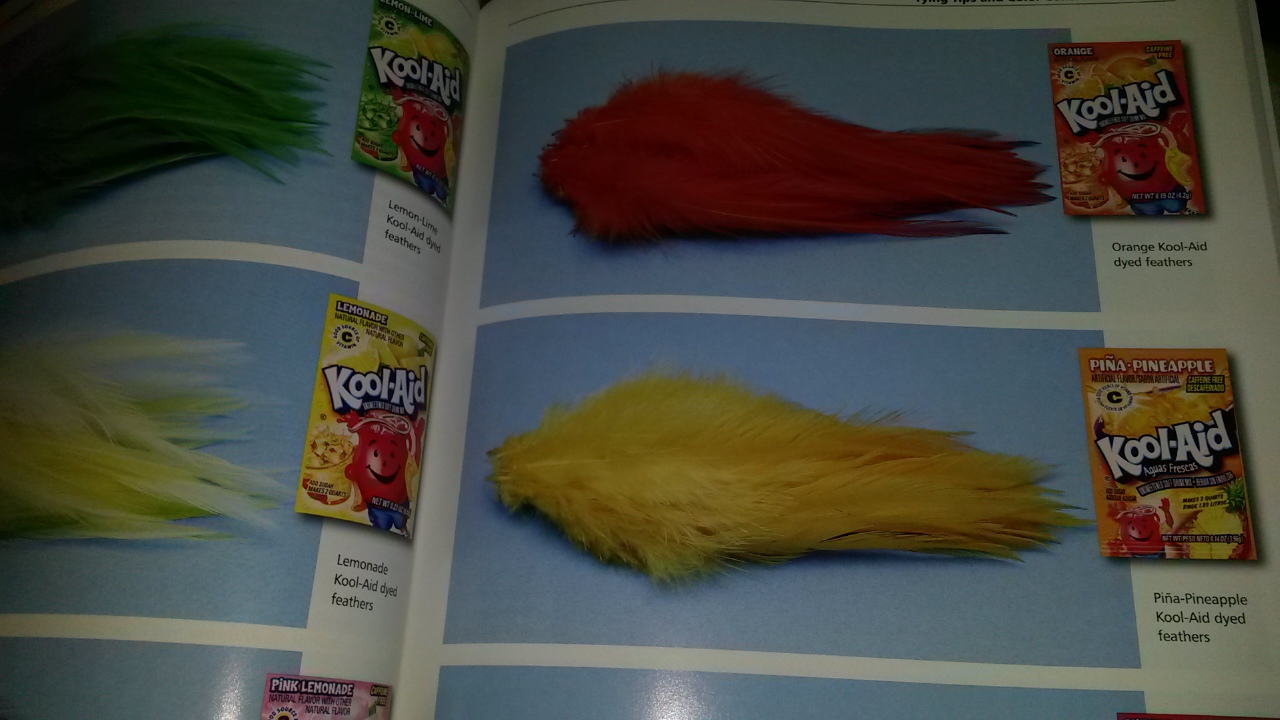 Feathers dyed with Jello, saltwater fly fishing, fly tying, delaware, sussex county