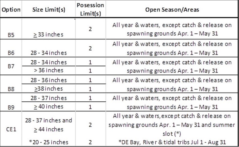 striped bass proposed size limits for delaware, rockfish regulations, sussex county, delaware, indian river inlet,