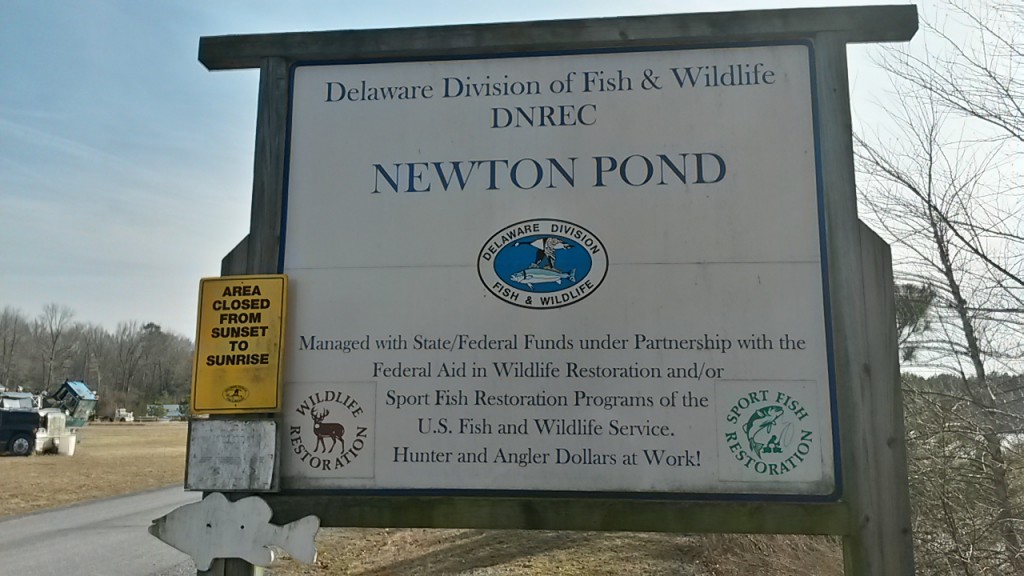 Newton Pond