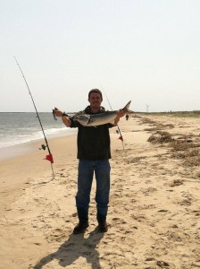 bluefish, beach plum island, sussex county, delaware