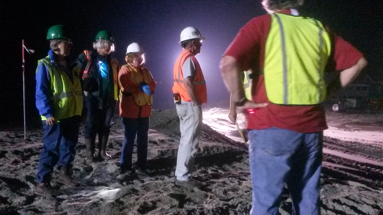 Volunteers surveying the area they need to pick up horseshoe crabs