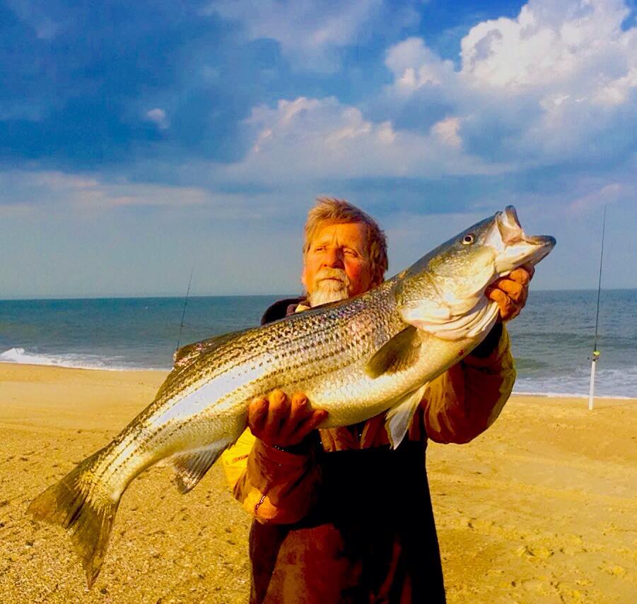 striped bass, rockfish, indian riverinlet, north beach, jetty jockey, delaware, sussex county, delmarvelous, clam,