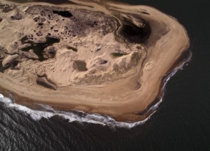 the point, delaware, sussex county, cape henlopen state park