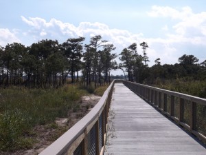 Gordons Pond Trail, cape henlopen, bike delaware, sussexcounty, get a kid outdoors, hiking in delaware, 