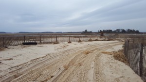 beach plum island drive on access,delaware, susssexcounty