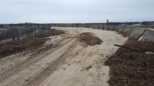 sussex county, bpi, beach plum island, plum beach new york