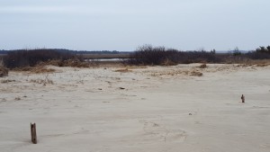 delaware bay beach, bpi, beach plum island state park, broadkill beach, sussex county, storm jonas, blizzard 2016