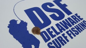 horseshoe crabs, broadkill beach, delaware bay beach, beach plum island state park