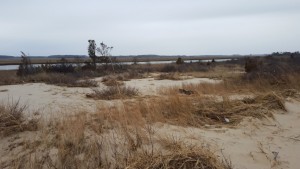 breach of dunes, broadkill river 