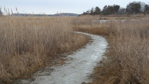 broadkill river access 
