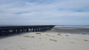 cape henlopen fishing pierconstruction, renovations, harbor of saferefuge, delaware, sussex county