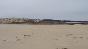 chsp, cape henlopen state park, gordons pond, beach conditions, delaware, sussex county