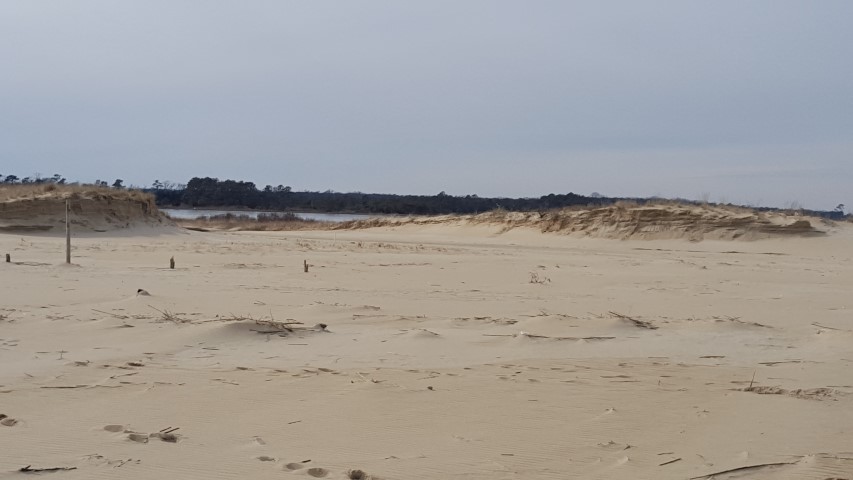 breach in dunes, cape henlopen state park, chsp, delaware, sussex county