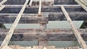 The support beams up close