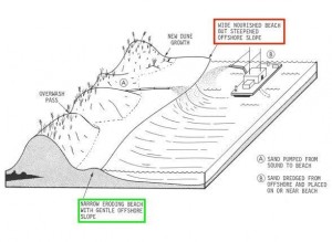 beach replenishment, ersoion, noreaster damage, dune ecomorphology, barrier islands, delaware, sussex county