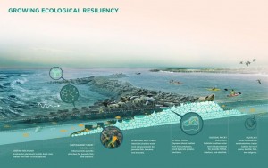Living Breakwater system, new york, barrier island protection, beach replenishment alternatives