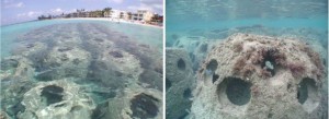reef balls, artificial reefs, barrier islands, reef technology, living shorelines, breakwater, storm surge protection