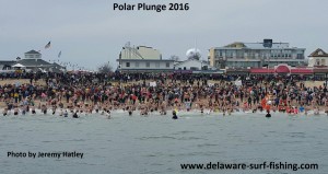 delaware, sussex county, polar lunge 2016, rehoboth beach