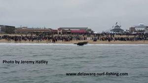 Polar Plunge 2016 photo by Jeremy Hatley