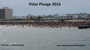 polar plunge 2016, Rehoboth beach, Lewes, delaware, sussex county
