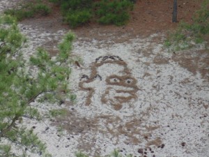 tower art, cape henlopen, firetower art,fortmiles, delaware,sussex county, ground art, homer simpson