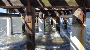cape henlopen state park, fishing pier, delaware, sussex county