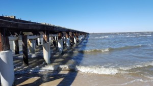 cape henlopen state park, fishing pier, delaware, sussex county