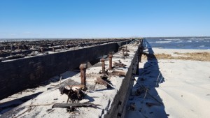 cape henlopen state park, fishing pier, delaware, sussex county