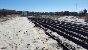 cape henlopen state park, fishing pier, delaware, sussex county