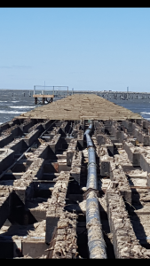 cape henlopen state park, fishing pier, delaware, sussex county