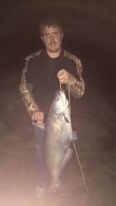blue catfish, invasive species,delaware, laurel, sussex county, broad creek, nanticoke river, state record catfish