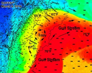 the canyons, baltimore, washington, gulf stream, delaware, sussex county, delmarva angler