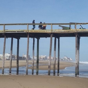maryland, ocmd, fishing pier, worcester county, 
