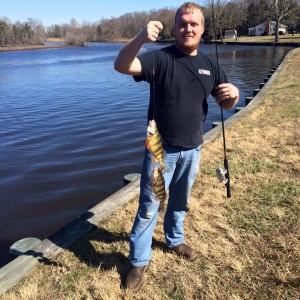 yellow perch, neds, delaware, sussex county, laurel, broad creek