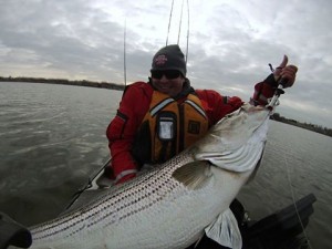 light tackle kayak trolling the chesapeake bay, alan battista, striped bass, chesapeake bay, maryland, catch and release, fifty pound club