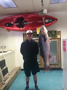 striped bass, delaware bay, state record, 