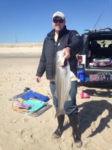 striped bass, rockfish, delaware, sussex county, bunker chunks, 