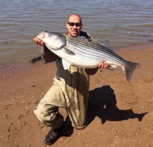 striped bass, delaware bay, kent county, jersey bass, pennsville, bunkerchunks, rockfish, linesider