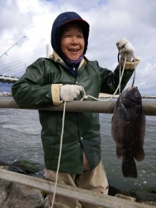 tautog, green crab, blackfish, white chin, delaware, sussex county, indian river inlet, 