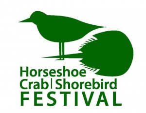 13 Annual Horseshoe Crab and Shorebird Festival, milton, delaware, sussex county, delaware bay, broadkill beach, prime hook beach
