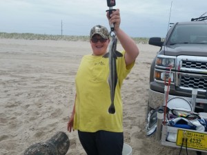 remora, delaware, sussex county, atlantic ocean fish, hitch hikers, surf fishing, bunker chunks, top and bottom rigs