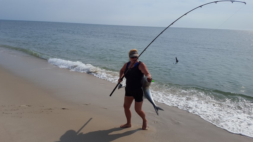 bluefish, yellow eyed devil, delaware, sussex county, atlantic ocean migratory fish, fall run, spring run, cast for a cure