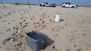 beach live well, kiddie pool in the sand, delaware, sussex county,