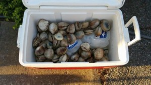 top neckclams, hard clamsd, delaware, sussex county, inland bays,rehobothbay, indian river bay, assawoman bay