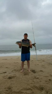 bluefish, 3rs beach, delaware seashore state park, sussex county