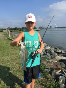 striped bass, rockfish, linesider, delaware, sussex county, masseys landing, the ditch, sand fleas, jiggingfor bass